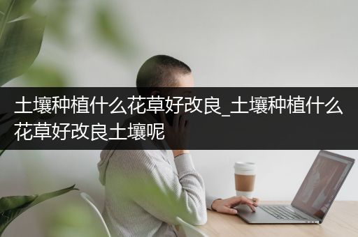 土壤种植什么花草好改良_土壤种植什么花草好改良土壤呢