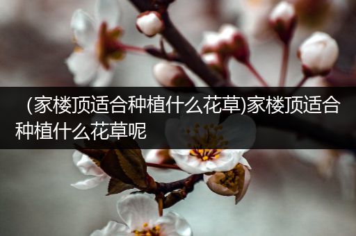 （家楼顶适合种植什么花草)家楼顶适合种植什么花草呢