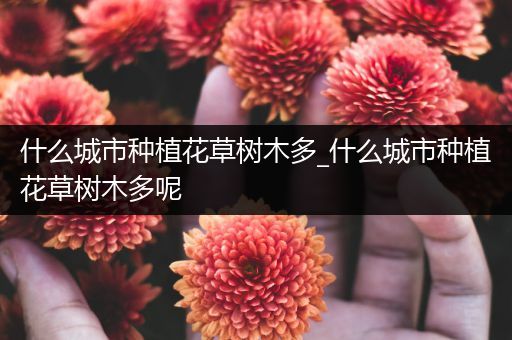 什么城市种植花草树木多_什么城市种植花草树木多呢