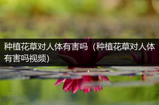 种植花草对人体有害吗（种植花草对人体有害吗视频）