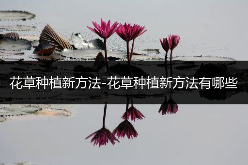 花草种植新方法-花草种植新方法有哪些