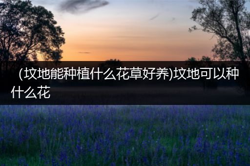 （坟地能种植什么花草好养)坟地可以种什么花