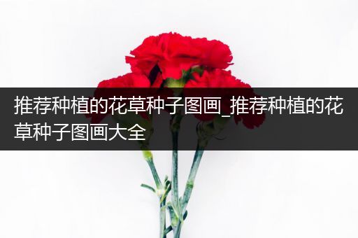 推荐种植的花草种子图画_推荐种植的花草种子图画大全