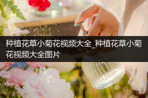 种植花草小菊花视频大全_种植花草小菊花视频大全图片