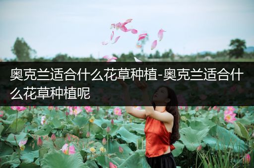 奥克兰适合什么花草种植-奥克兰适合什么花草种植呢