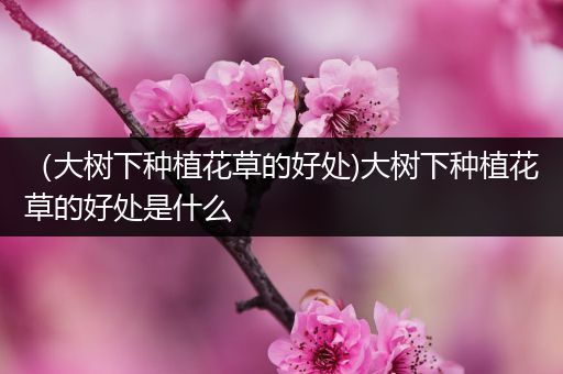 （大树下种植花草的好处)大树下种植花草的好处是什么