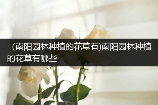 （南阳园林种植的花草有)南阳园林种植的花草有哪些