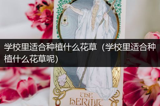 学校里适合种植什么花草（学校里适合种植什么花草呢）