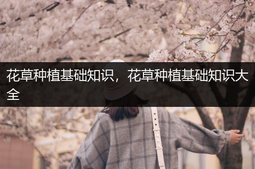 花草种植基础知识，花草种植基础知识大全