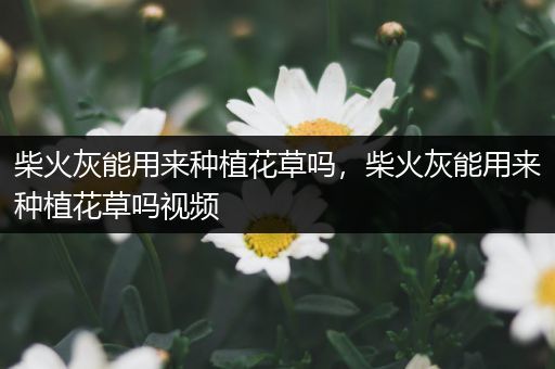 柴火灰能用来种植花草吗，柴火灰能用来种植花草吗视频