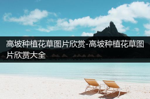 高坡种植花草图片欣赏-高坡种植花草图片欣赏大全