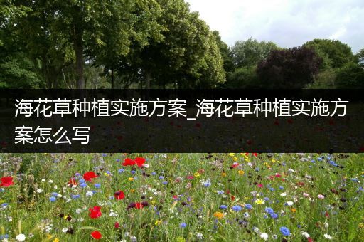 海花草种植实施方案_海花草种植实施方案怎么写