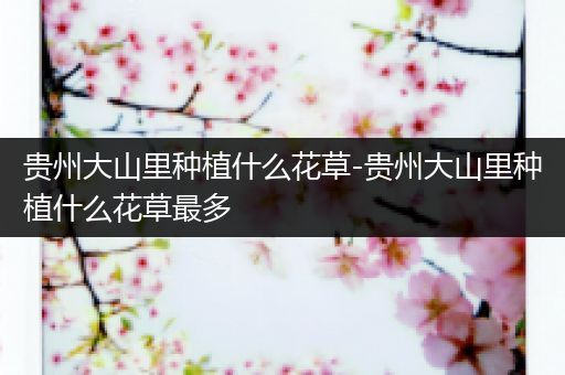 贵州大山里种植什么花草-贵州大山里种植什么花草最多