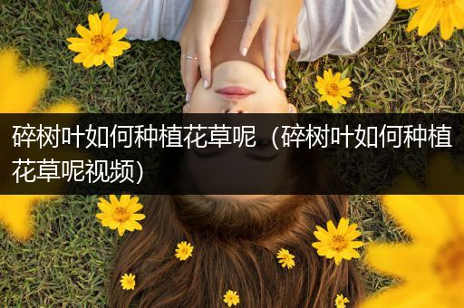 碎树叶如何种植花草呢（碎树叶如何种植花草呢视频）
