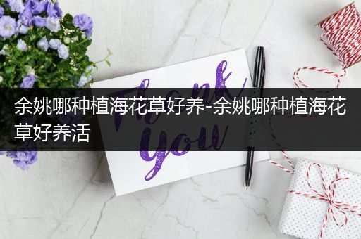 余姚哪种植海花草好养-余姚哪种植海花草好养活