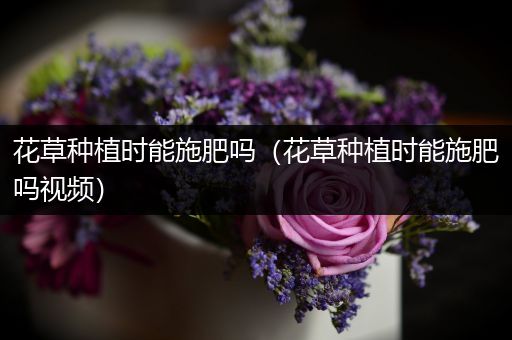花草种植时能施肥吗（花草种植时能施肥吗视频）