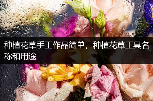种植花草手工作品简单，种植花草工具名称和用途