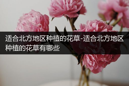 适合北方地区种植的花草-适合北方地区种植的花草有哪些