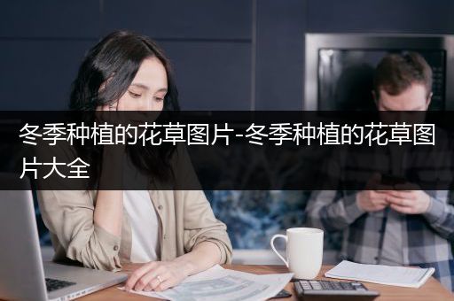 冬季种植的花草图片-冬季种植的花草图片大全