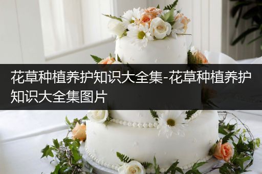 花草种植养护知识大全集-花草种植养护知识大全集图片