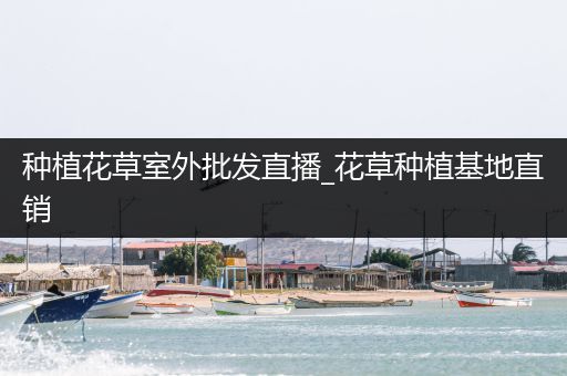 种植花草室外批发直播_花草种植基地直销