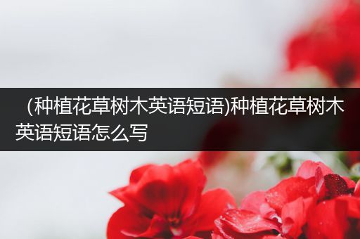 （种植花草树木英语短语)种植花草树木英语短语怎么写