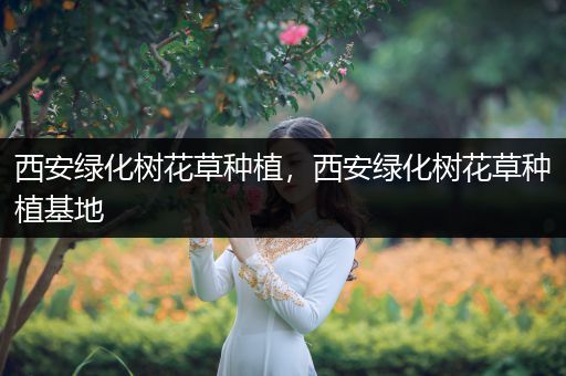 西安绿化树花草种植，西安绿化树花草种植基地