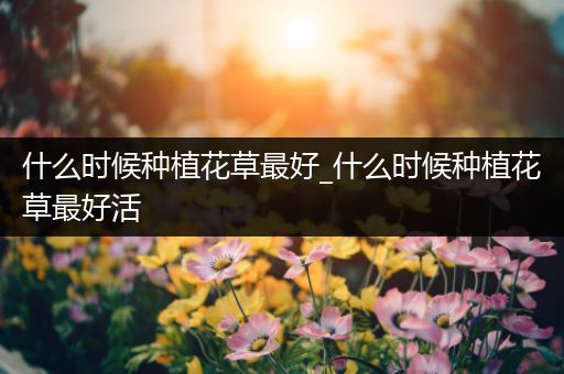 什么时候种植花草最好_什么时候种植花草最好活