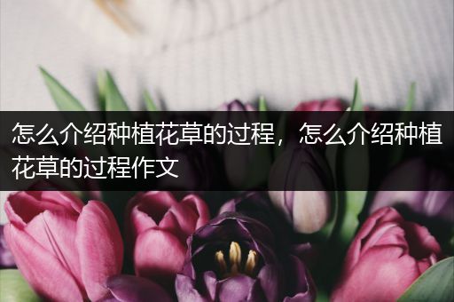 怎么介绍种植花草的过程，怎么介绍种植花草的过程作文