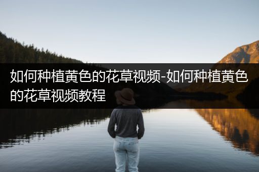 如何种植黄色的花草视频-如何种植黄色的花草视频教程