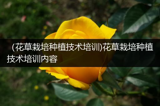 （花草栽培种植技术培训)花草栽培种植技术培训内容