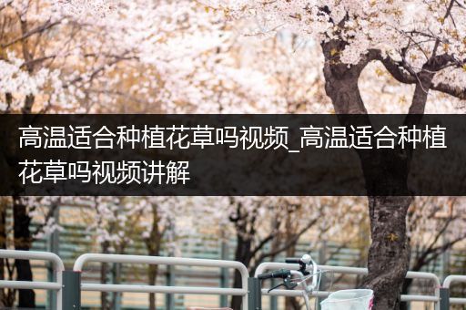 高温适合种植花草吗视频_高温适合种植花草吗视频讲解