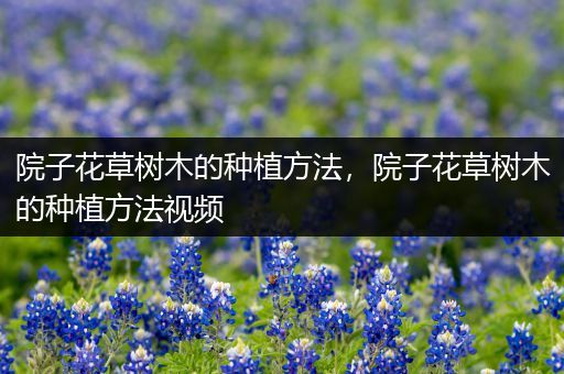 院子花草树木的种植方法，院子花草树木的种植方法视频