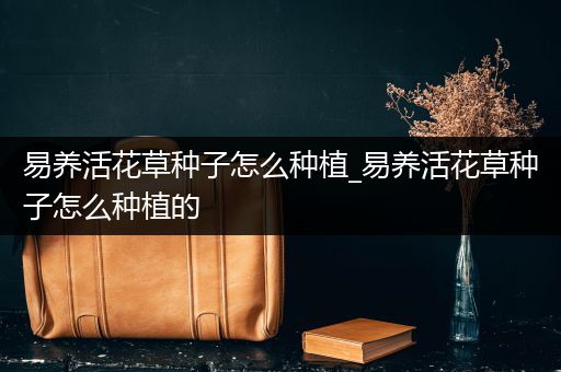 易养活花草种子怎么种植_易养活花草种子怎么种植的