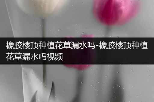 橡胶楼顶种植花草漏水吗-橡胶楼顶种植花草漏水吗视频