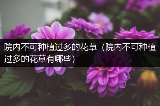 院内不可种植过多的花草（院内不可种植过多的花草有哪些）