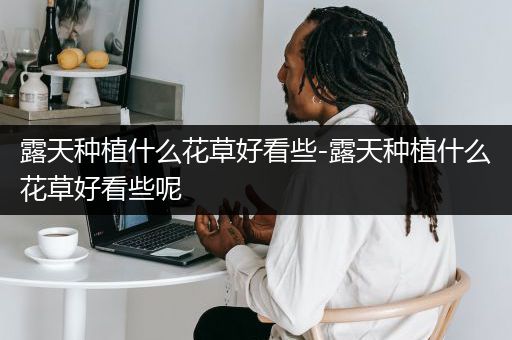 露天种植什么花草好看些-露天种植什么花草好看些呢