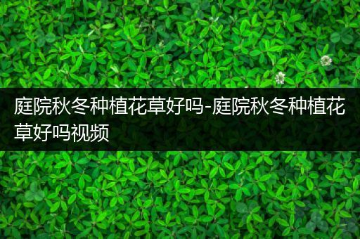庭院秋冬种植花草好吗-庭院秋冬种植花草好吗视频