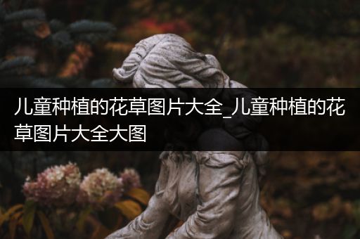 儿童种植的花草图片大全_儿童种植的花草图片大全大图