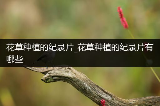 花草种植的纪录片_花草种植的纪录片有哪些
