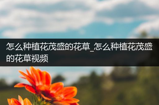 怎么种植花茂盛的花草_怎么种植花茂盛的花草视频