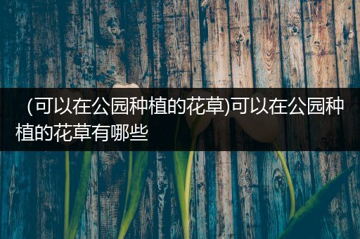 （可以在公园种植的花草)可以在公园种植的花草有哪些