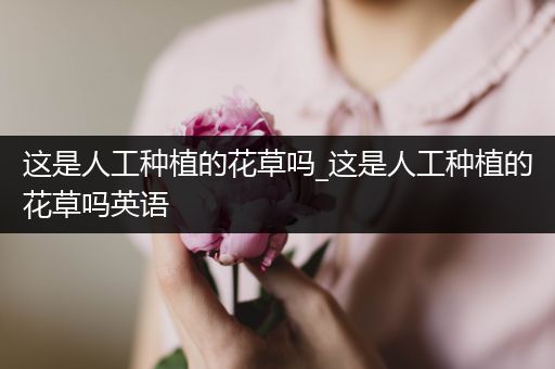 这是人工种植的花草吗_这是人工种植的花草吗英语