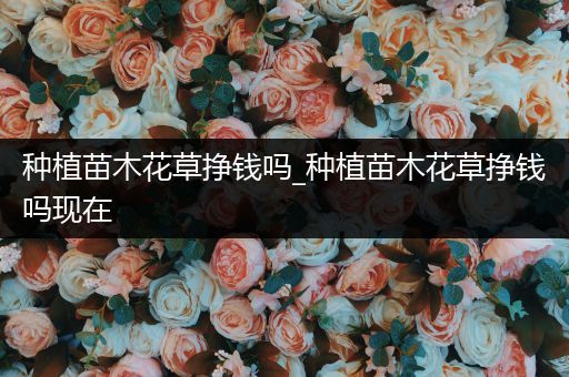 种植苗木花草挣钱吗_种植苗木花草挣钱吗现在