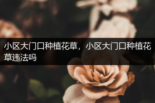 小区大门口种植花草，小区大门口种植花草违法吗