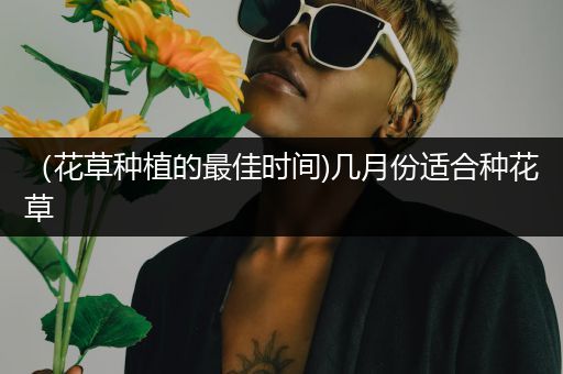 （花草种植的最佳时间)几月份适合种花草