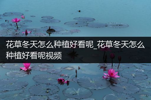 花草冬天怎么种植好看呢_花草冬天怎么种植好看呢视频