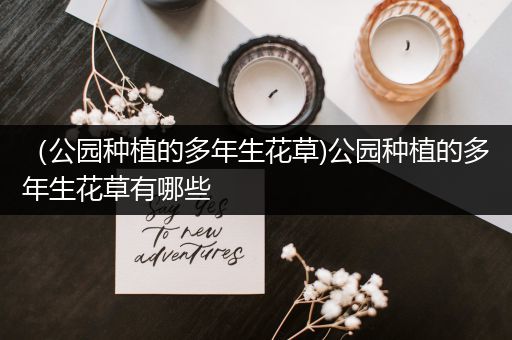 （公园种植的多年生花草)公园种植的多年生花草有哪些