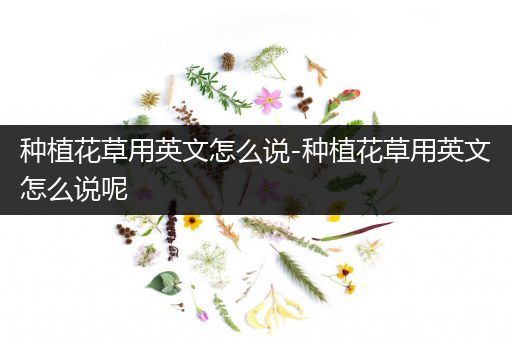 种植花草用英文怎么说-种植花草用英文怎么说呢