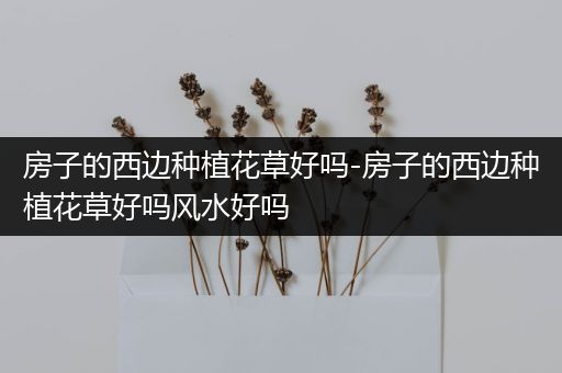 房子的西边种植花草好吗-房子的西边种植花草好吗风水好吗